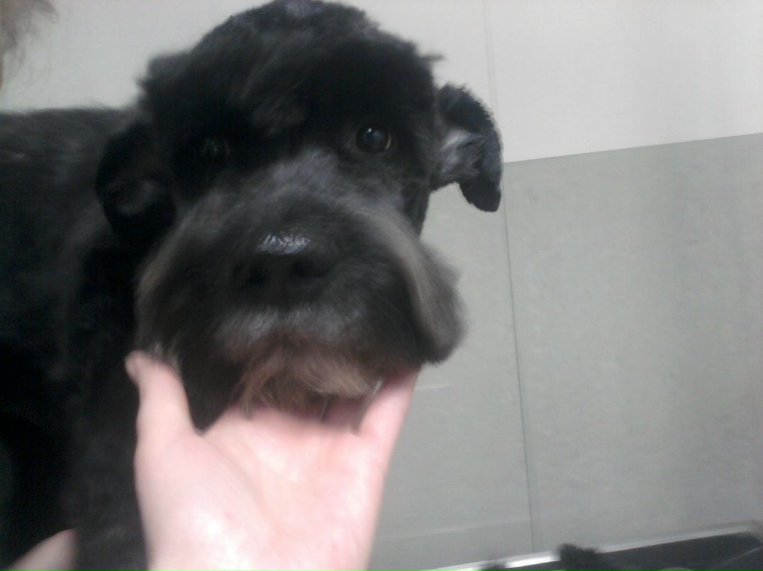 Светлана Пермякова | Санкт-Петербург