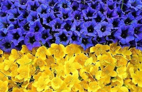 Asiya Mylymuka | Запорожье