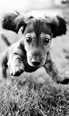 Рома Колядюк Сергійович | Ровно