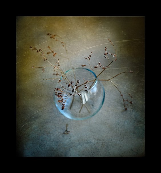 Дарья Шеховцова | Москва