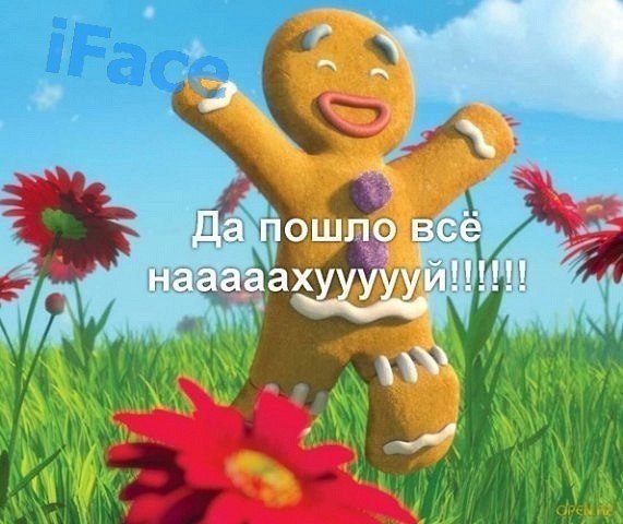 Алексей Алексеев | Одинцово