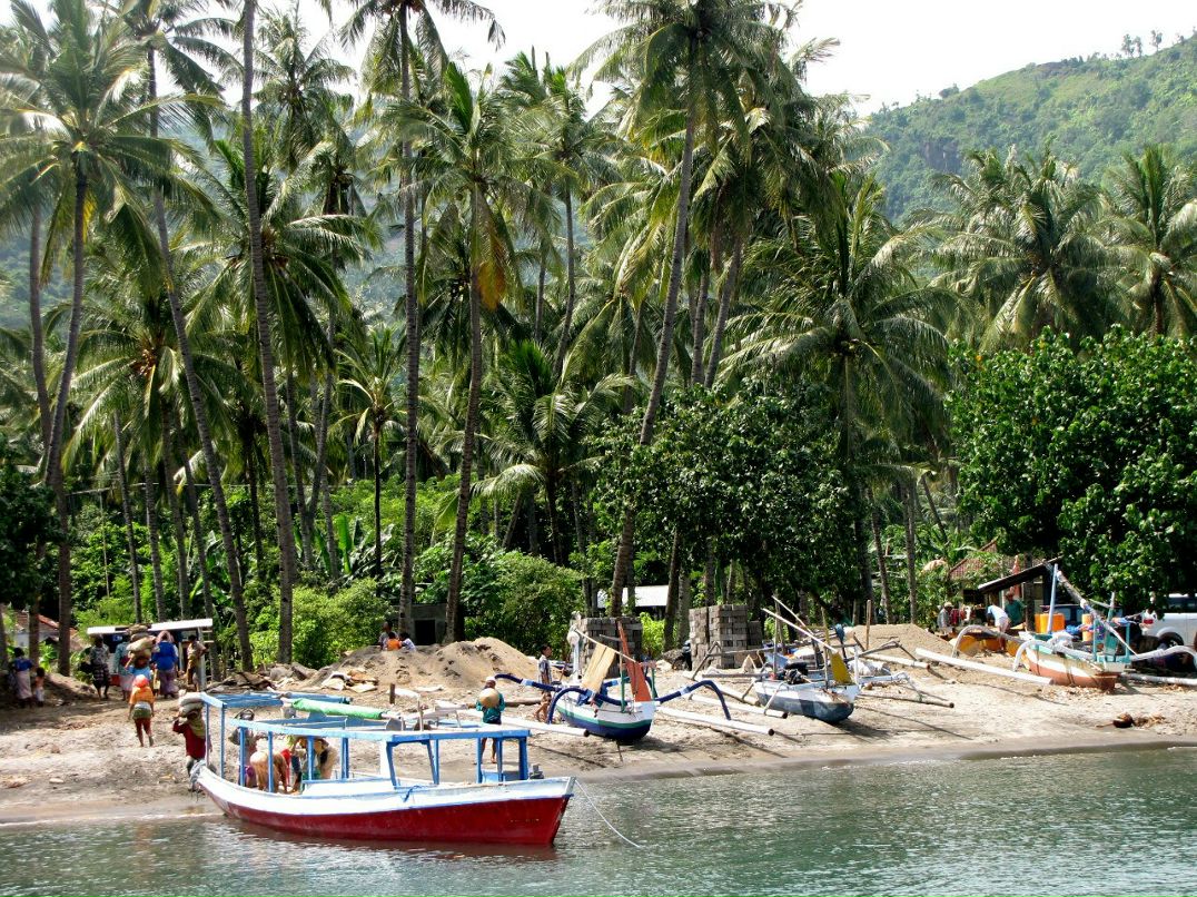 Татьяна Солнцева | 