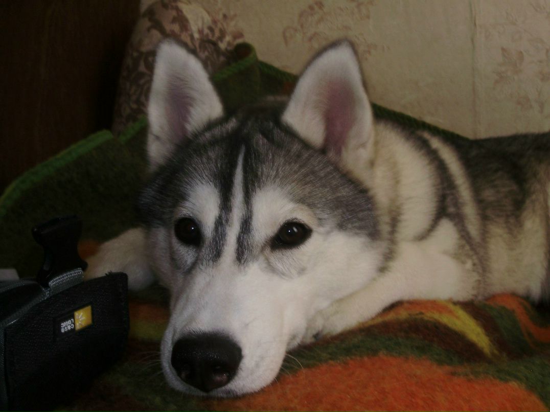 Катерина Платонова | Larnaca