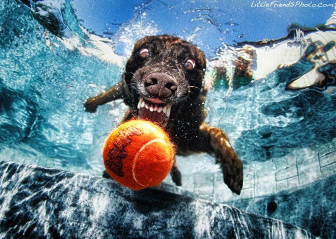 Денис Михайлов | Иркутск