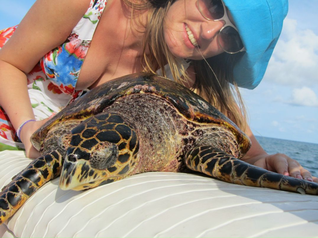 Анастасия Котюкова | Санкт-Петербург