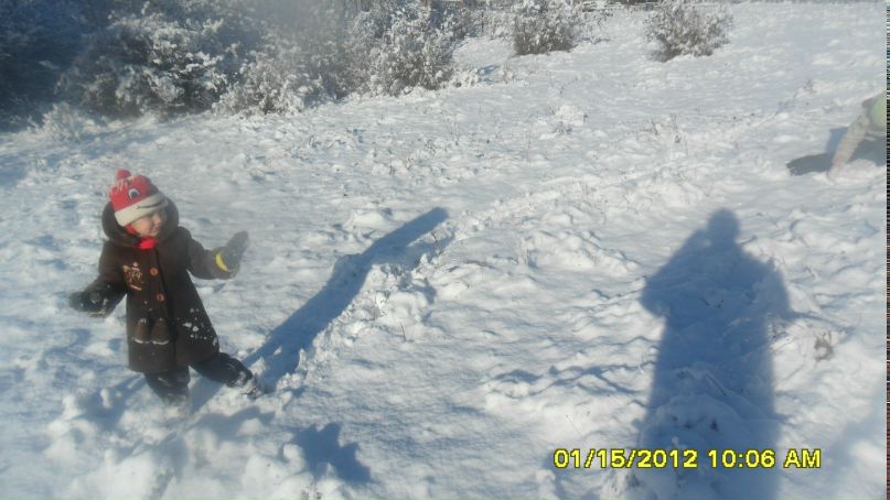 Александр Доненко | 