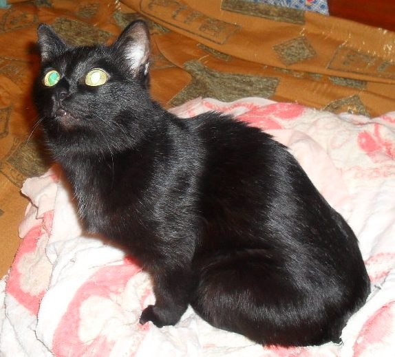 Катерина Письменная | Хабаровск