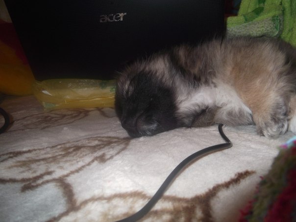 №19, Виталий Бугубаев №19, Виталий Бугубаев