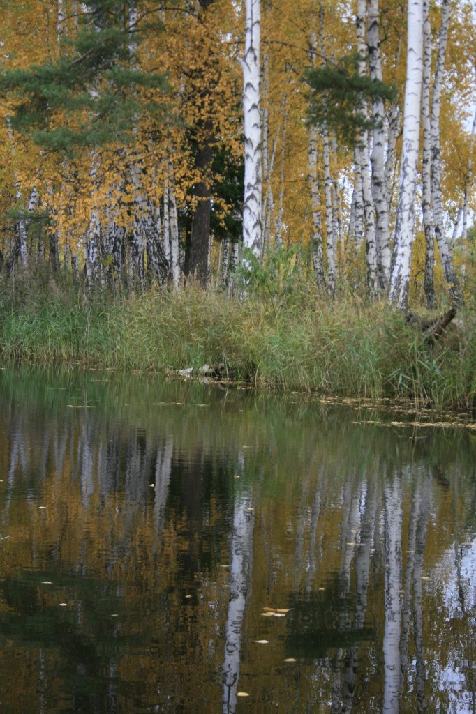 Julian Murasov | Москва