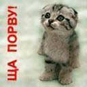 Екатерина Панфилова | Набережные Челны