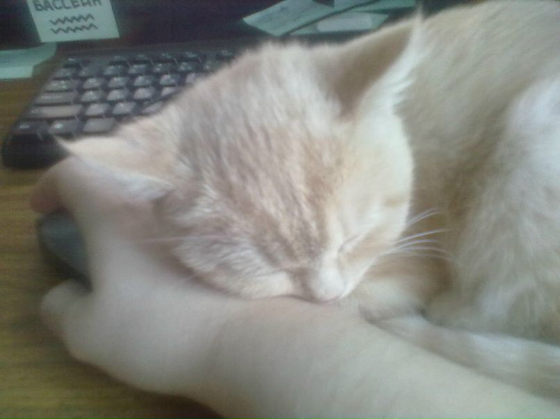 Екатерина Мошкова | Иркутск