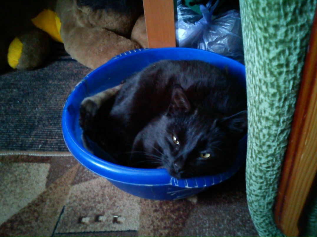 Алексей Шанауров | Калуга