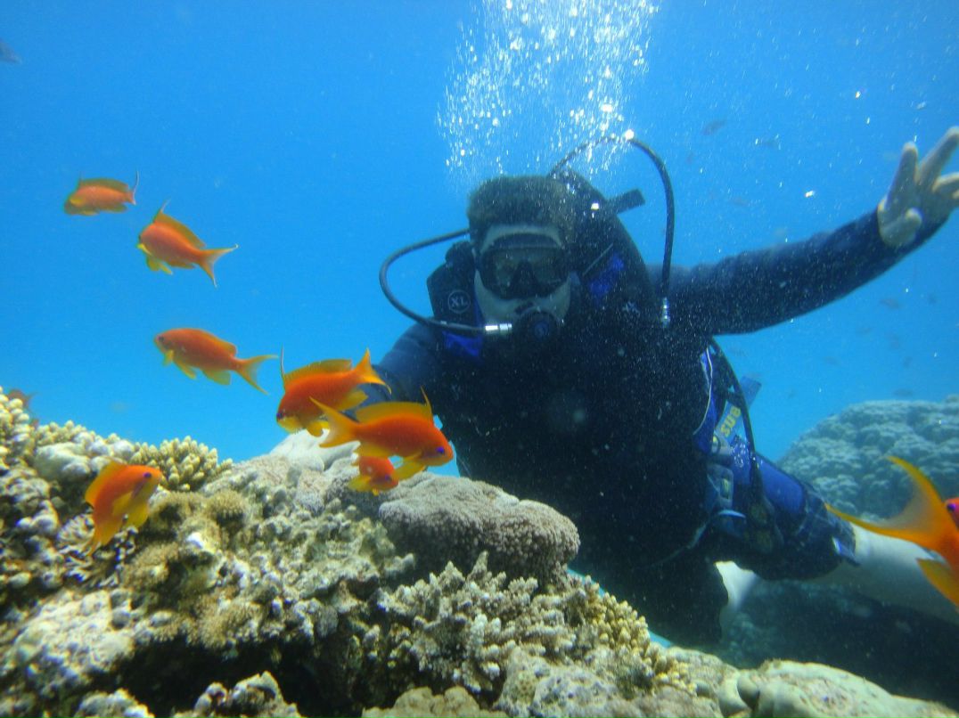 Алексей Степанов | Санкт-Петербург