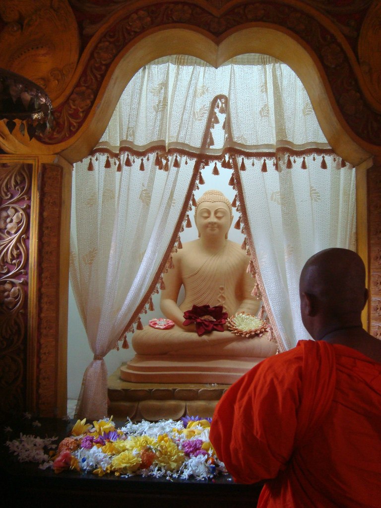 Ольга Андрушевич | Москва