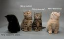 №6 Максим Петров 20.09: профиль, фото, статус - ВКонтакте