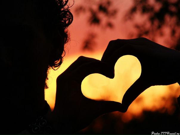 №54, Екатерина Мулюкова №54, Екатерина Мулюкова