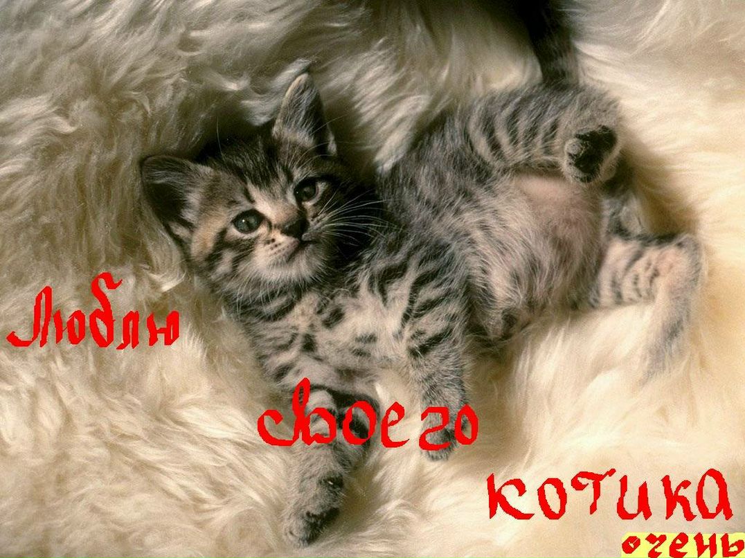 Оля Гришина | Рассказово