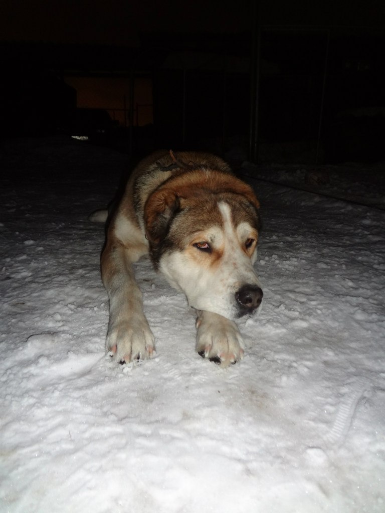 Оксана Паневина | Сызрань