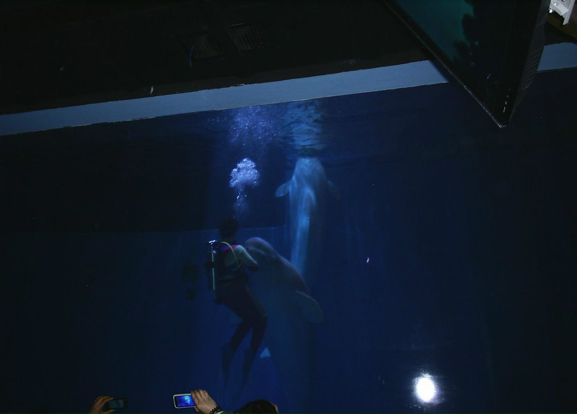 Сергей Пономарев ˙·٠✈ | Новосибирск