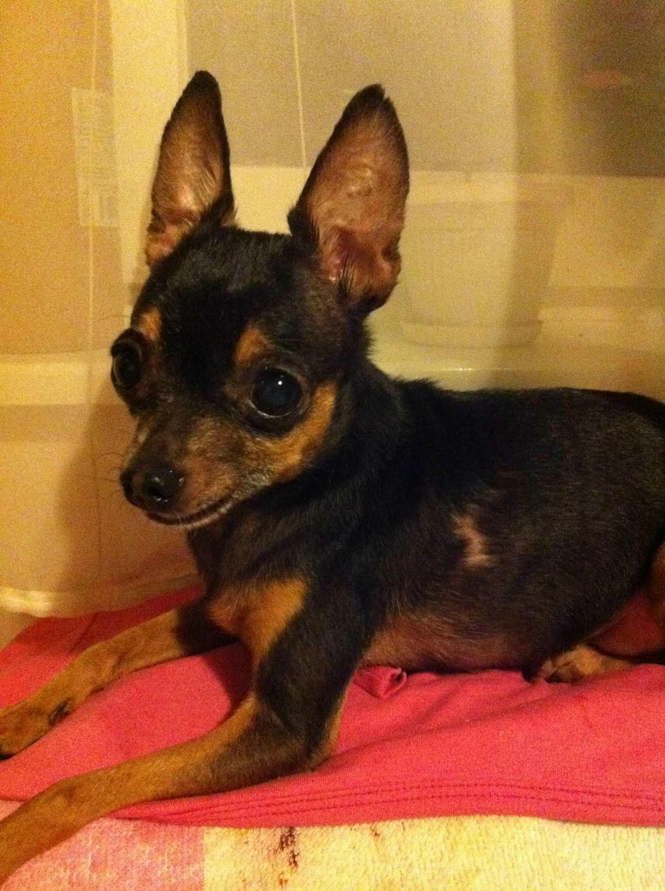 Виктория Новикова | 