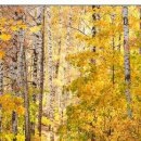 №99, Олег Водинов, Череповец №99, Олег Водинов, Череповец