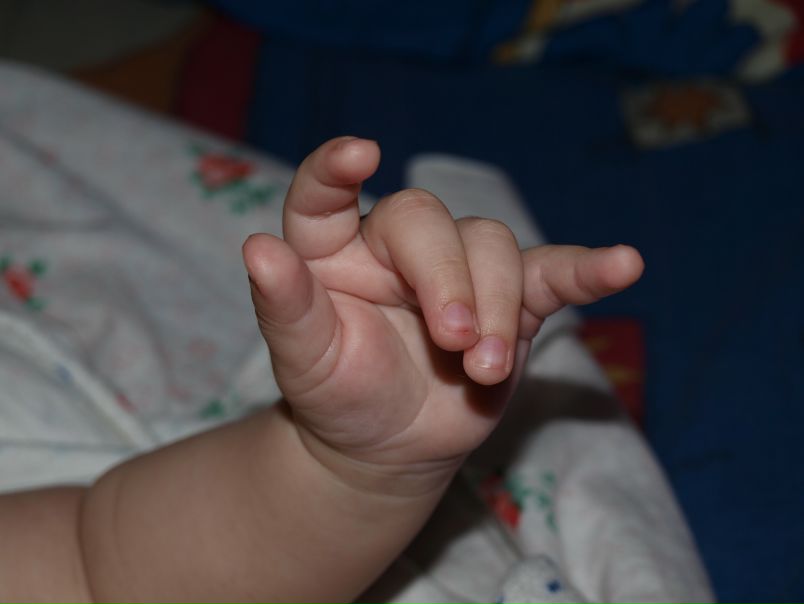 №18, Инесса Ефимова, 37 лет, Горловка №18, Инесса Ефимова, 37 лет, Горловка