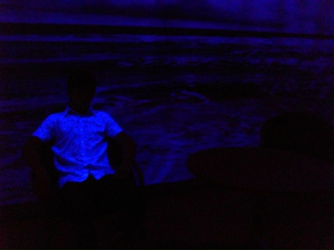 Сергей Федосов | Лермонтов