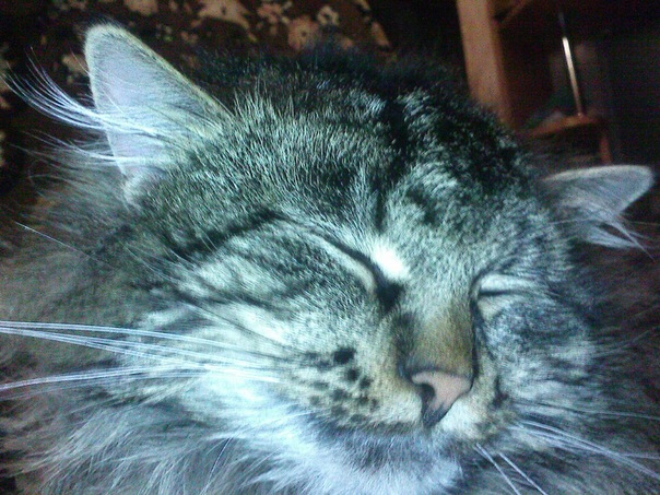 №177, Игорь Пузанков, 30 лет, Воронеж №177, Игорь Пузанков, 30 лет, Воронеж