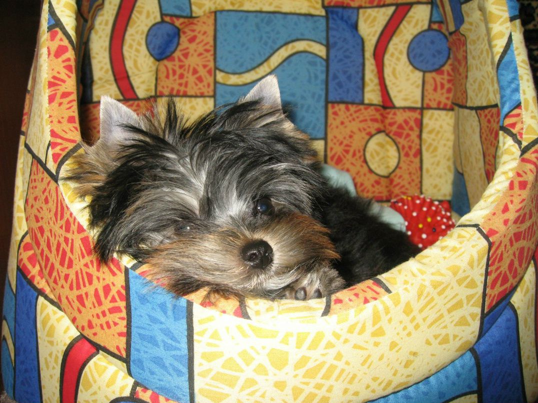 Яков Иванников | Москва