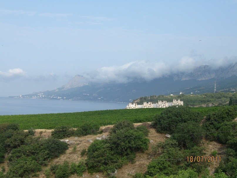 Саня Бабий | Кривой Рог