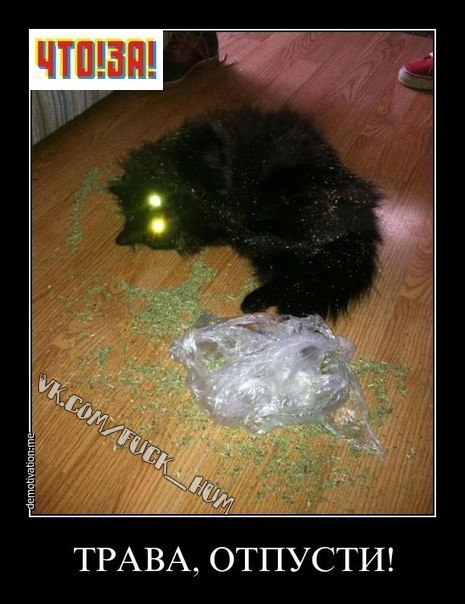 Валера Денисенко | Днепр (Днепропетровск)