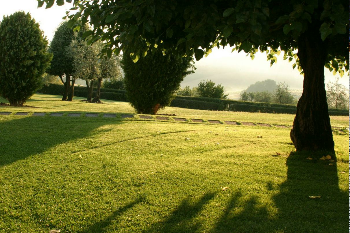 Анна Трухина | 