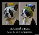 Фотография Хилько Оли