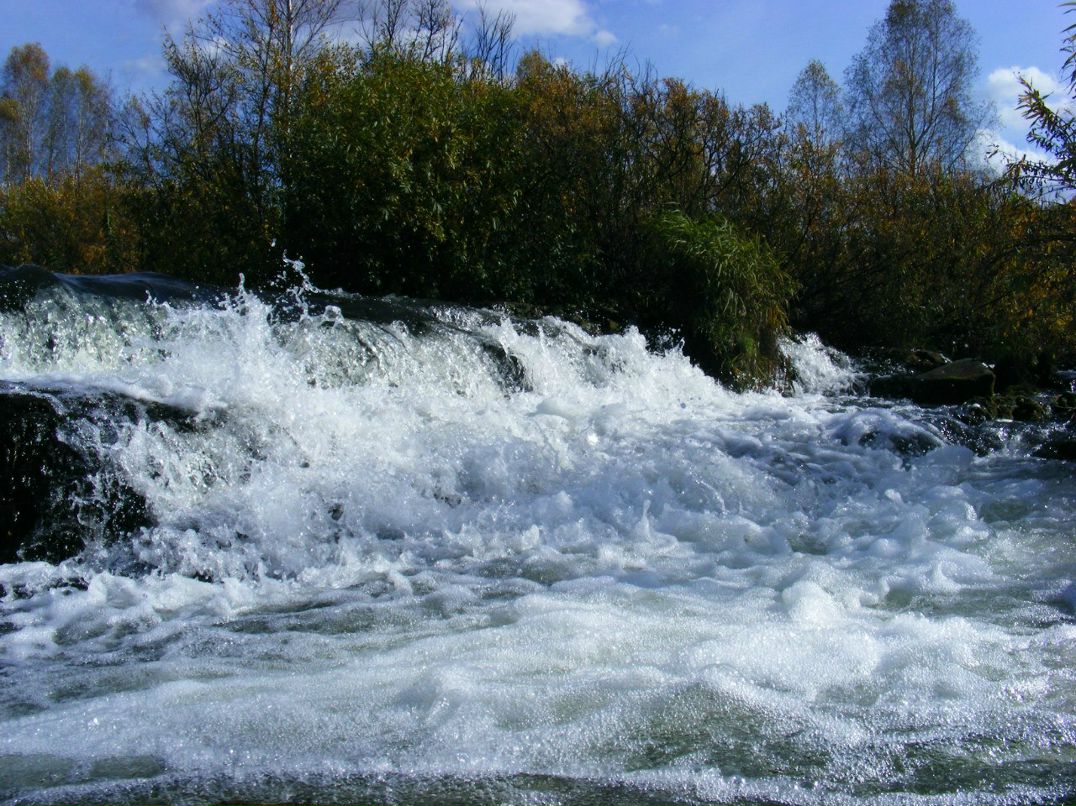 Константин Горобец | Новосибирск