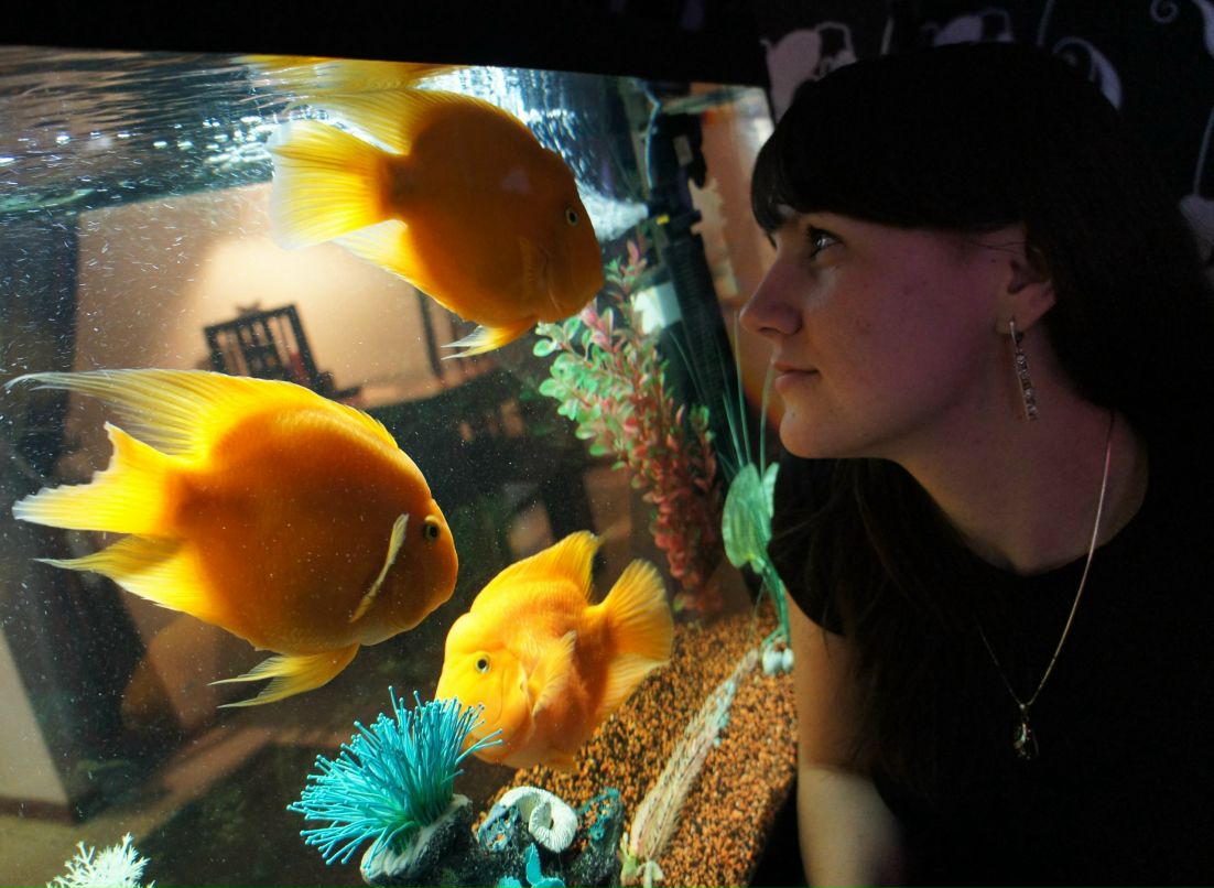 Ира Громова | Нижний Новгород