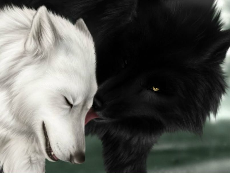 Анна Кострова | Москва