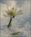 Фотография Гузель Сафина