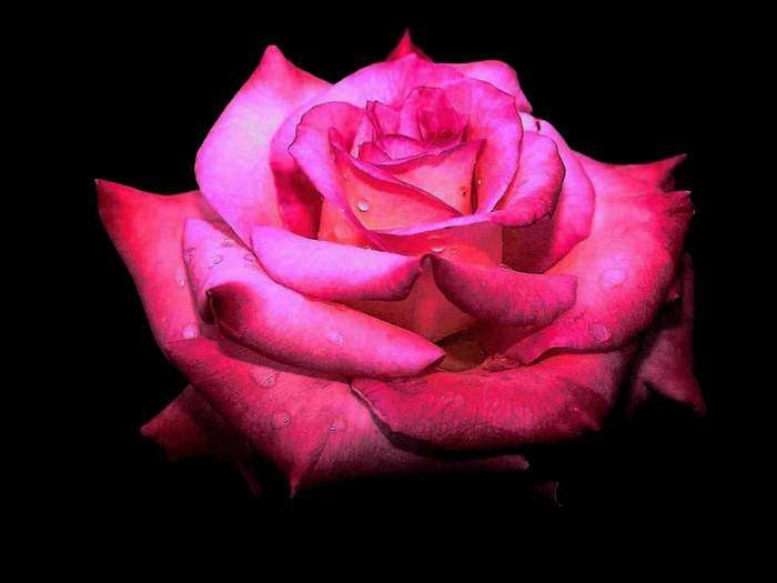 Тая Мирова | Луганск