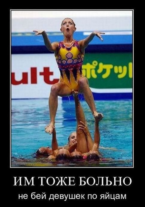 Александр Сальников | 