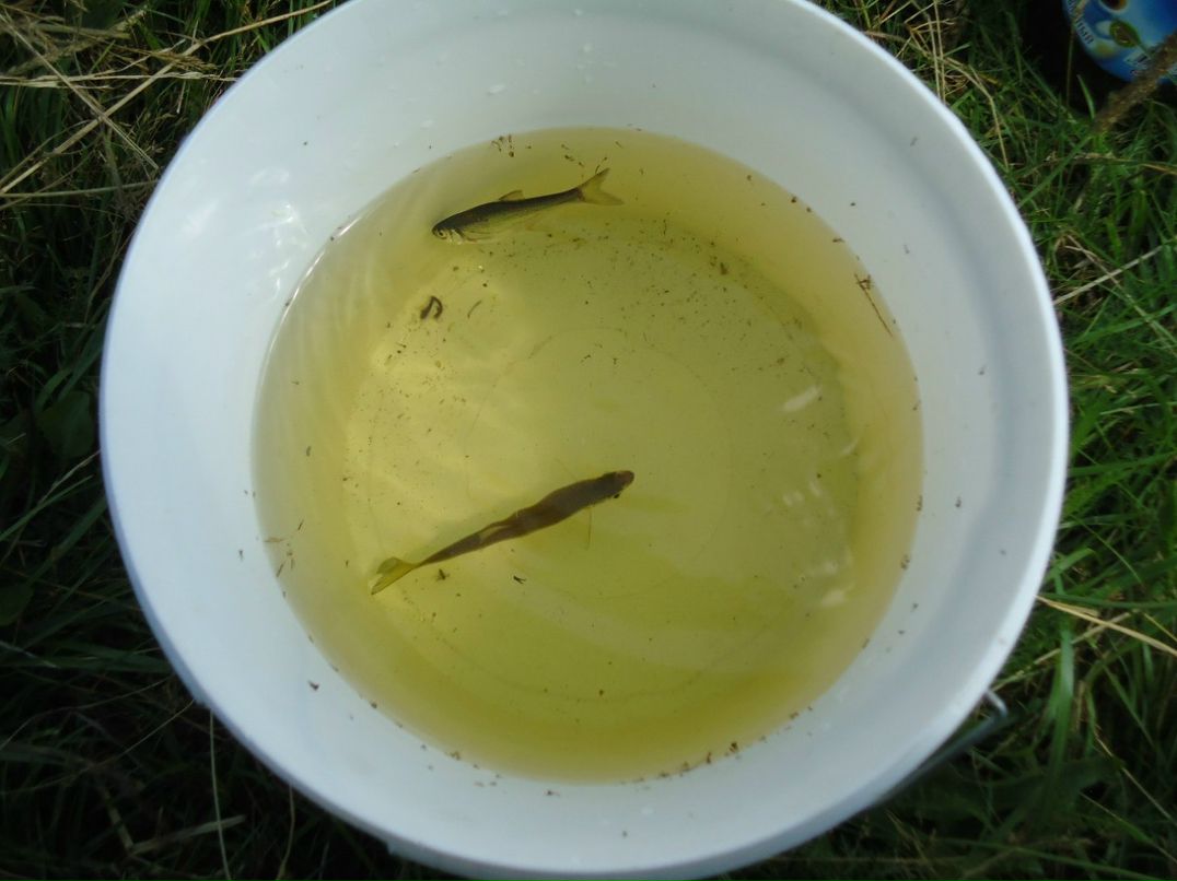 Евгений Федосеенков | Смоленск