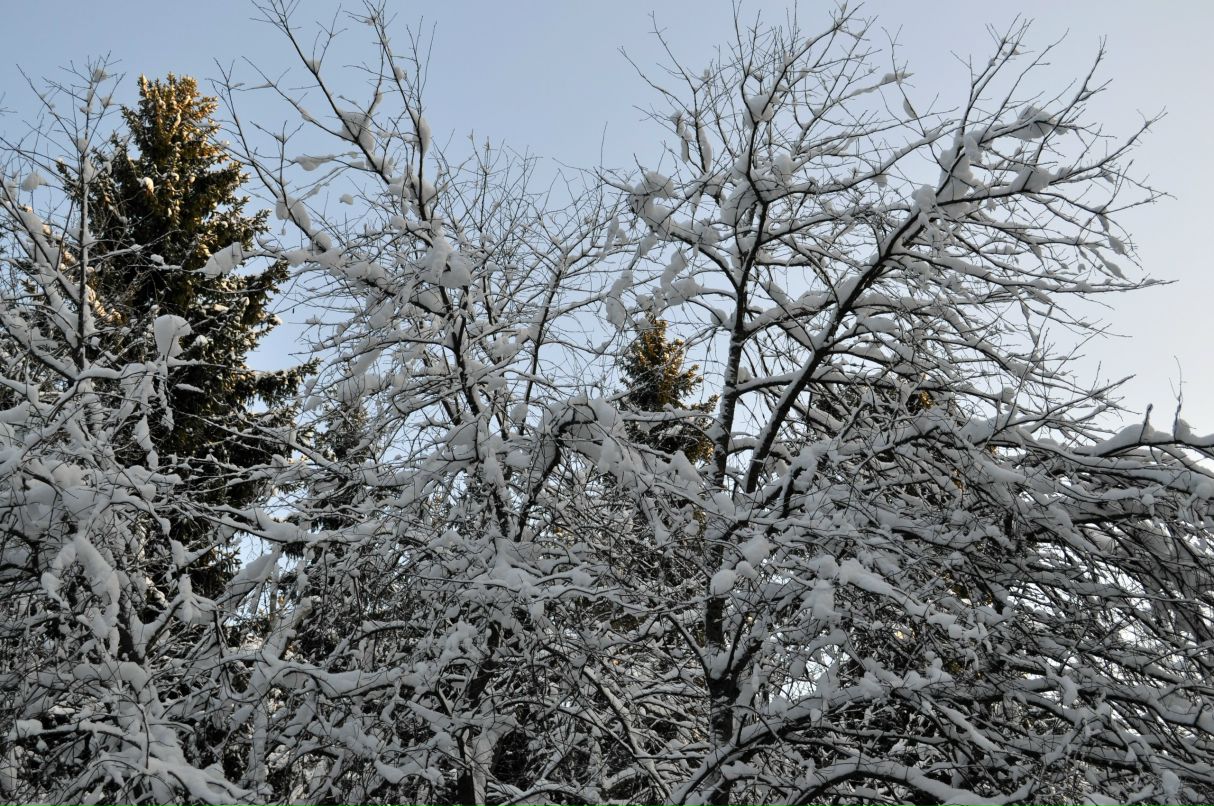 Марина Кветкова | Санкт-Петербург