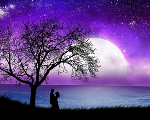 Дима Краснощёков | 