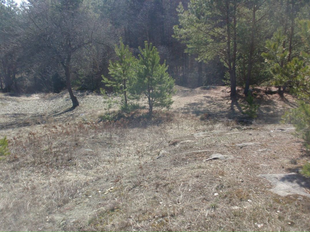 Борис Блаженний | Киев