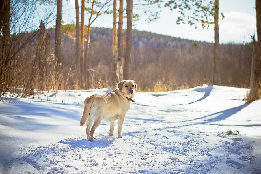 №60, Александр Бронников №60, Александр Бронников