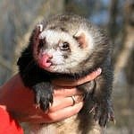 Артем Хайретдинов | Уфа