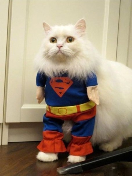 №20, Александр Зыль №20, Александр Зыль