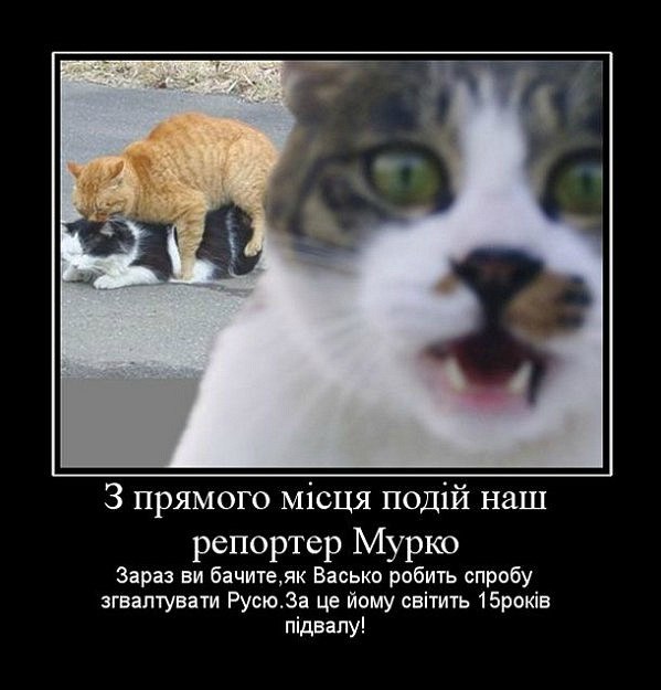 Мария Моисейчева | Киев