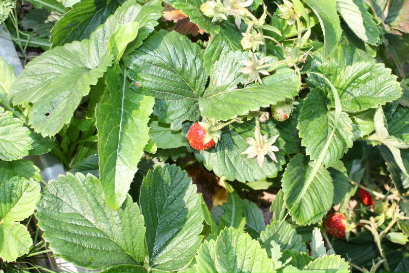 Екатерина Усанова Георгиевна | Москва