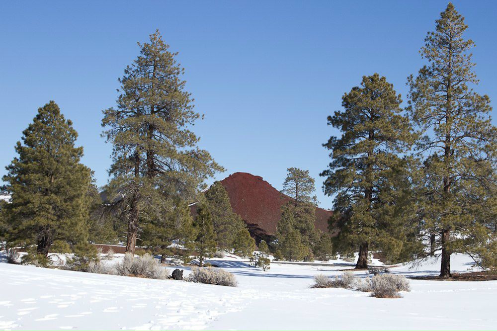 Илья Альбрехт | Phoenix