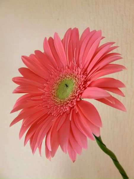 №21, Маша Ганенко, 33 года, Киев №21, Маша Ганенко, 33 года, Киев